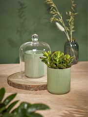 Portico Designs The Urban Gardener Scented Soy Candle - Image 1 of 5