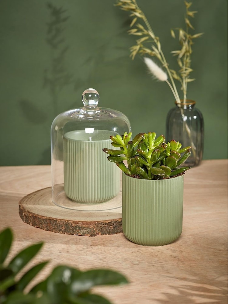 Portico Designs The Urban Gardener Scented Soy Candle - Image 1 of 5