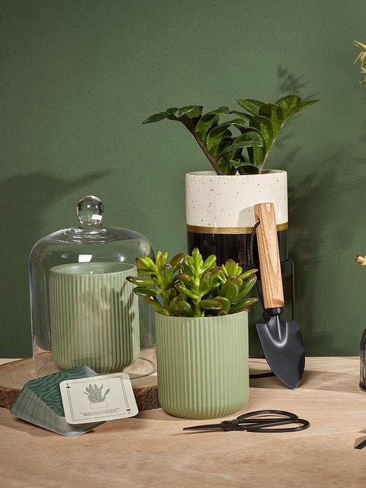 Portico Designs The Urban Gardener Scented Soy Candle - Image 2 of 5