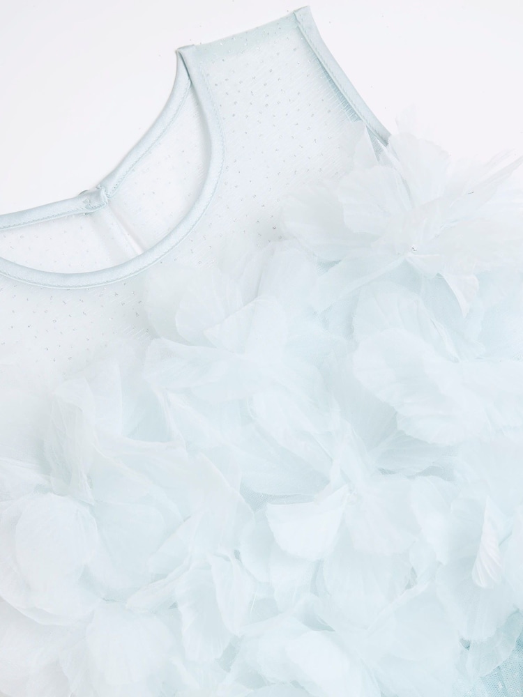 River Island Blue Girls Embellished Tulle Dress - Image 4 of 4