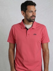 Розовый - Weird Fish Miles 100% Cotton Pique Polo Shirt - Image 2 of 6