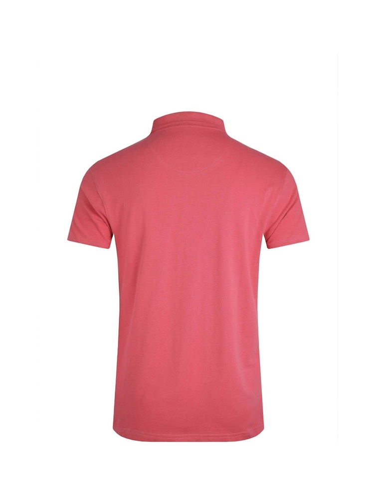 Розовый - Weird Fish Miles 100% Cotton Pique Polo Shirt - Image 6 of 6