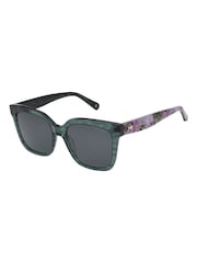Зеленый - Ted Baker TB1761 Sunglasses - Image 1 of 5