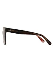 Коричневый - Ted Baker TB1761 Sunglasses - Image 3 of 5