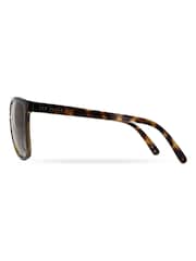 Ted Baker Brown Tari TB1400 Sunglasses - Image 3 of 5