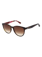 Ted Baker Brown Flori TB1763 Sunglasses - Image 1 of 5