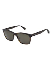 Ted Baker Brown Reef TB1780 Sunglasses - Image 1 of 5