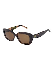 Коричневый - Ted Baker летние солнцезащитные очки TB1788 - Image 2 of 5