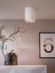 Eglo Silver Polasso Cylindrical LED Ceiling Light - Image 1 of 5