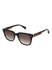 Ted Baker Brown Elio TB1754 Sunglasses - Image 1 of 4