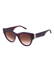 Ted Baker Purple Farah TB1766 Sunglasses - Image 1 of 5