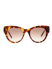 Коричневый - солнцезащитные очки Ted Baker Farah TB1766 - Image 2 of 5