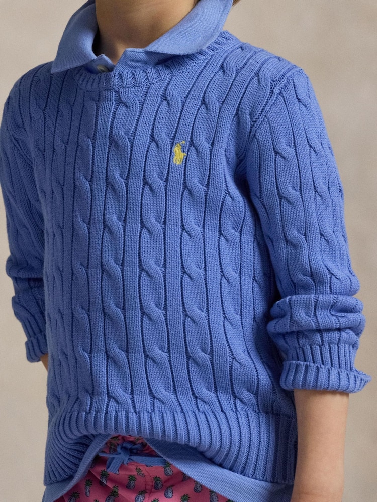 Polo Ralph Lauren Light Blue Boys Cable Knit Jumper - Image 3 of 3