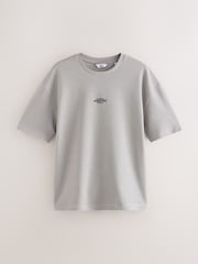 Grey Relaxed Fit Graphic Print Heavyweight Striped T-Shirt - Image 1 of 3