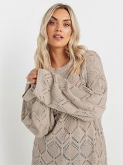 Yours Curve Natural Pointelle Crochet Jumper - Image 1 of 5