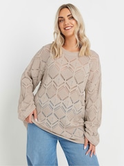 Yours Curve Natural Pointelle Crochet Jumper - Image 3 of 5