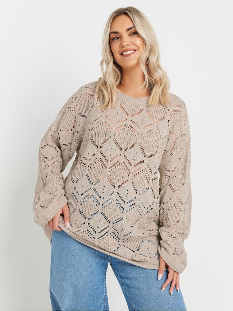 Yours Curve Natural Pointelle Crochet Jumper - Image 3 of 5