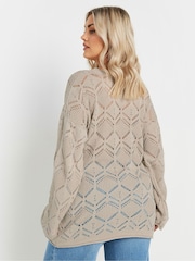 Yours Curve Natural Pointelle Crochet Jumper - Image 4 of 5