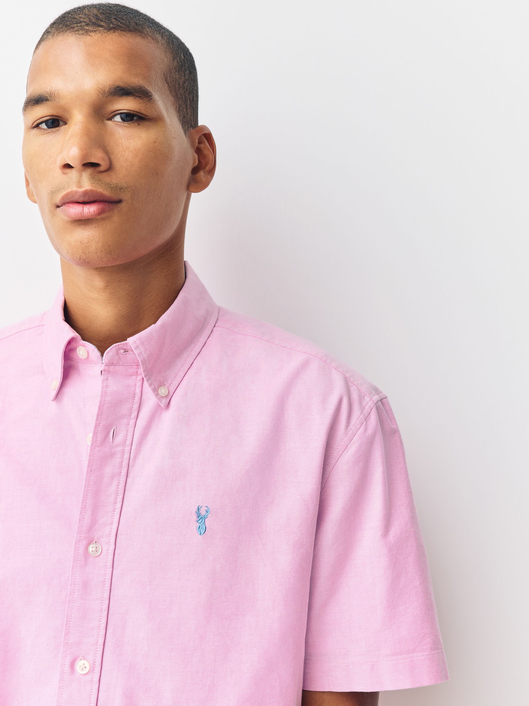 Buy Pink Regular Fit Short Sleeve Oxford Shirt from Next South Africa