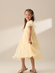 Angel & Rocket Yellow Luisa Sunshine Embroidered Mesh Dress - Image 3 of 9