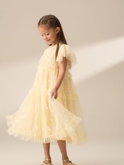 Angel & Rocket Yellow Luisa Sunshine Embroidered Mesh Dress - Image 6 of 9