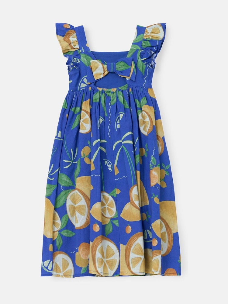Angel & Rocket Blue Maxine Print Maxi Dress - Image 8 of 9