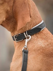 Lords And Labradors Hundehalsband aus italienischem Leder - Bild 1 von 6