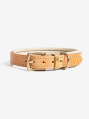 Lords and Labradors Tan Cream Italian Leather Collar Dog Collar - Image 6 of 6