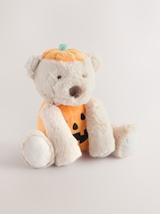 Halloween Pumpkin Bear Soft Plush Toy - Image 1 of 3