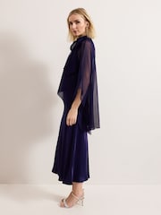Phase Eight Blue Kyra Overlay Dress - Image 7 of 7