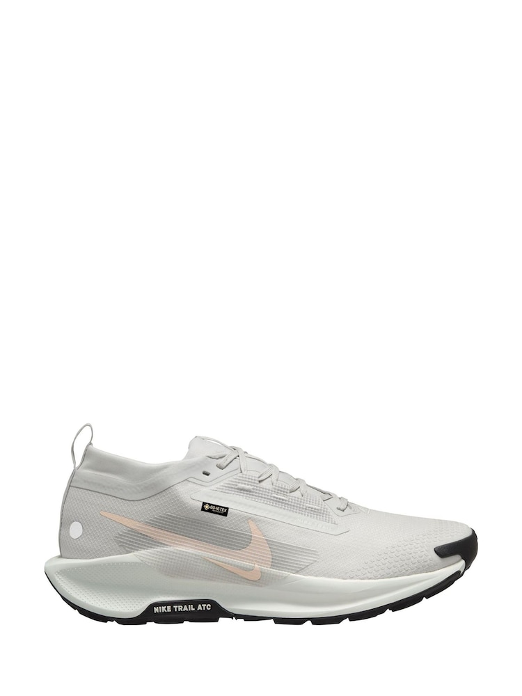 Nike Grey/White Pegasus Trail 5 GORETEX Trail Running Trainers - Image 1 of 4