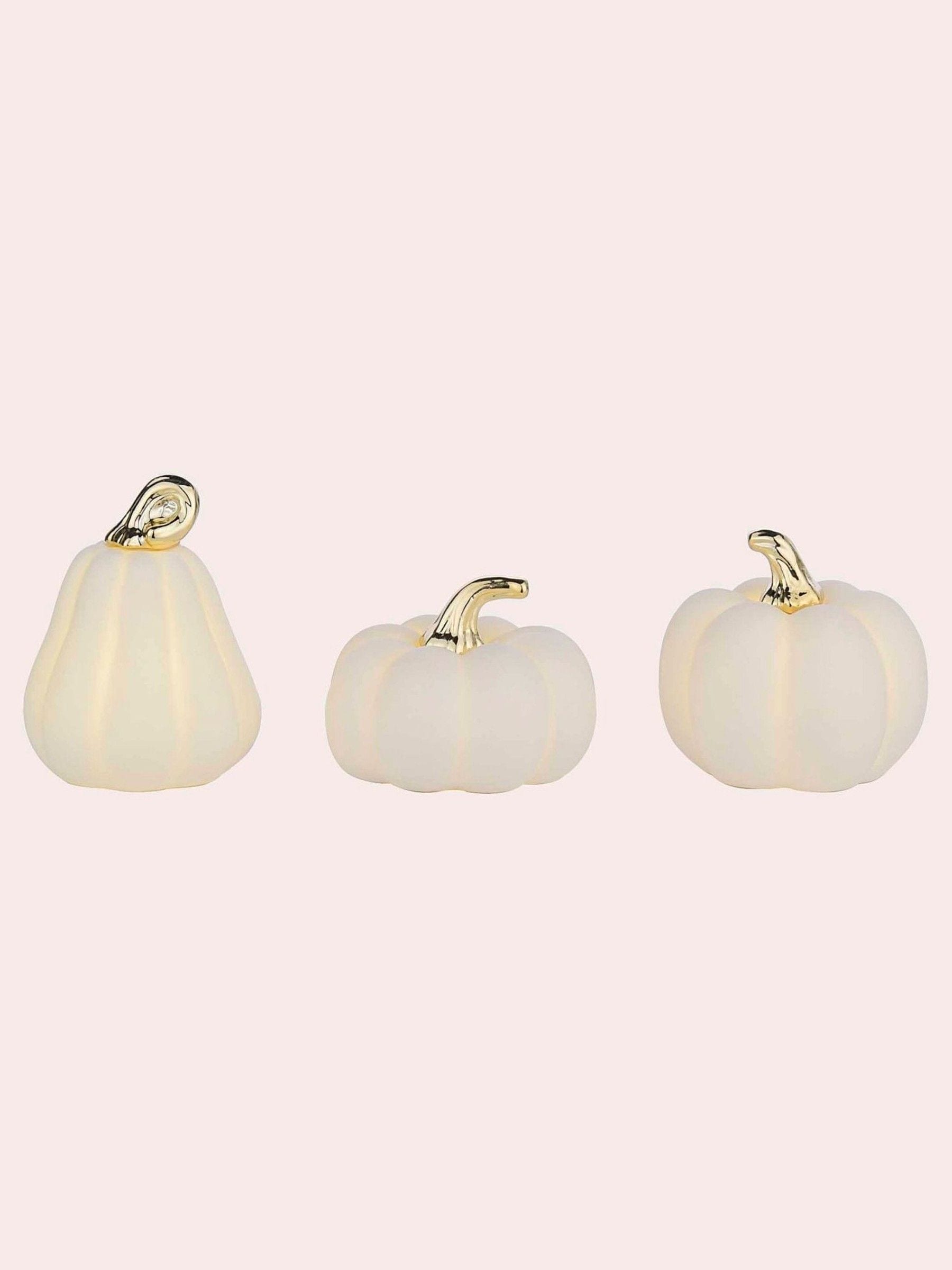 Buy Laura Ashley White Set of 3 Ceramic Light Up Pumpkin from the
