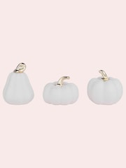 Laura Ashley White Ceramic Pre Lit Autumn Set of 3 Pumpkin Lights - Image 5 of 5
