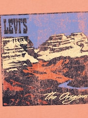 Levi's® Orange Canyon Landscape Logo Back Graphic Short Sleeve T-Shirt - Image 5 of 5