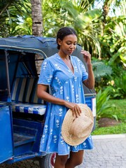 Aspiga Blue India Embroidered Dress - Image 3 of 5