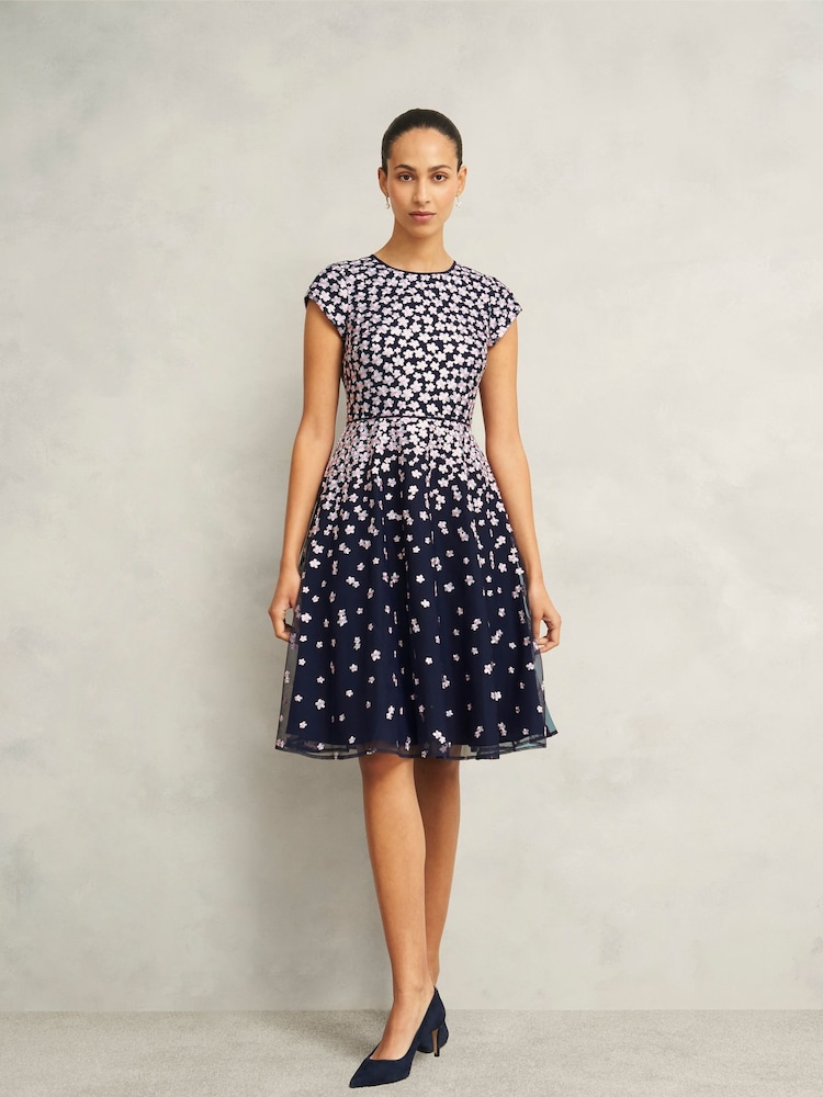 Hobbs Petite Betty Dress - Imagen 1 de 4