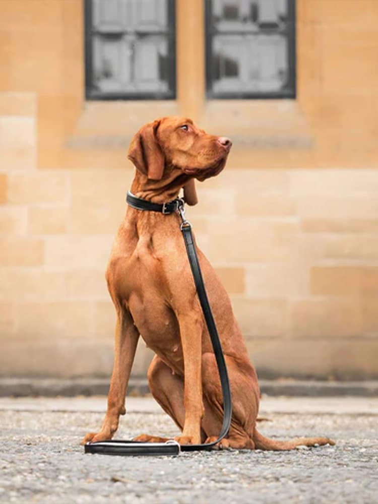Lords and Labradors Black Grey Italian Leather Dog Lead - Image 1 of 5
