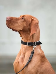 Lords and Labradors Black Grey Italian Leather Dog Lead - Image 3 of 5