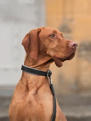 Lords and Labradors Black Grey Italian Leather Dog Lead - Image 4 of 5