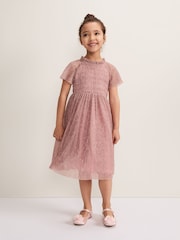 Phase Eight Pink Evangeline Dress - Image 1 of 6
