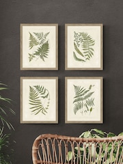Artko Birch Woodland Ferns HF Set of 4 Framed Art - Image 1 of 3
