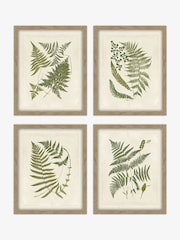 Artko Birch Woodland Ferns HF Set of 4 Framed Art - Image 2 of 3