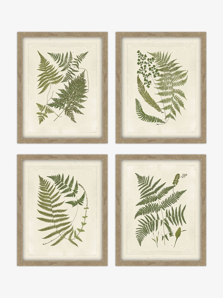 Artko Birch Woodland Ferns HF Set of 4 Framed Art - Image 2 of 3