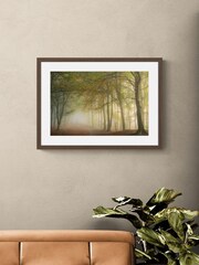 Artko Walnut Autumn Mist By Owen Clarke Framed Art - Image 1 of 3