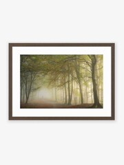 Artko Walnut Autumn Mist By Owen Clarke Framed Art - Image 2 of 3
