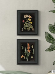 Artko Black Floral Chart HF Set of 2 by Sue Schlabach Framed Art - Image 1 of 3
