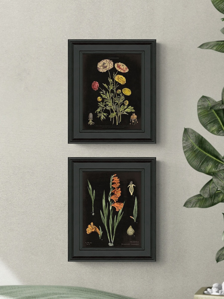 Artko Black Floral Chart HF Set of 2 by Sue Schlabach Framed Art - Image 1 of 3
