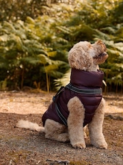 Burgundy Shower Resistant Padded Hooded Coat - Image 6 of 9