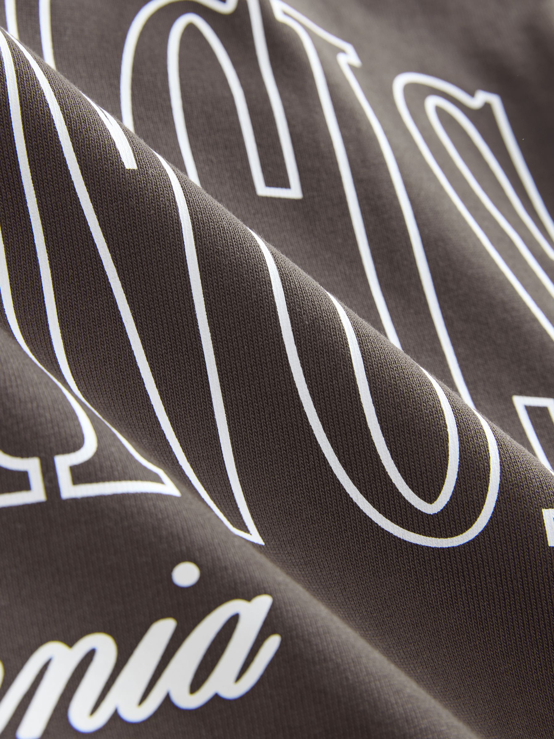 Buy Brown San Francisco Relaxed Fit Graphic Print Heavy Weight T