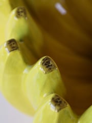 Rockett St George Yellow Large Banana Bowl - Image 4 of 5